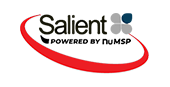 Salient IT